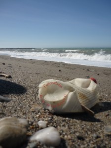 Plástico_playa1
