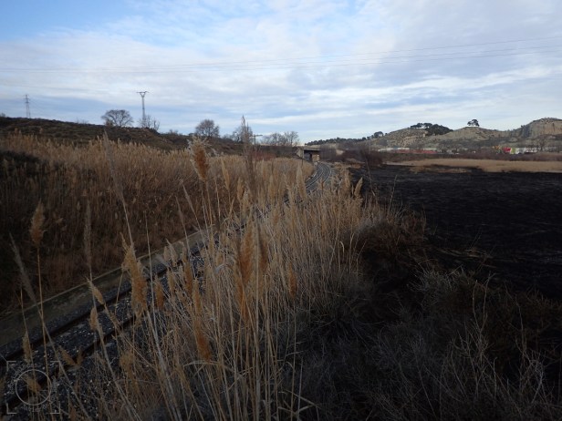 Línea de tren colindando con zona quemada