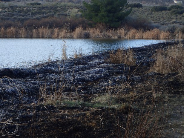 Zona de la presa quemada