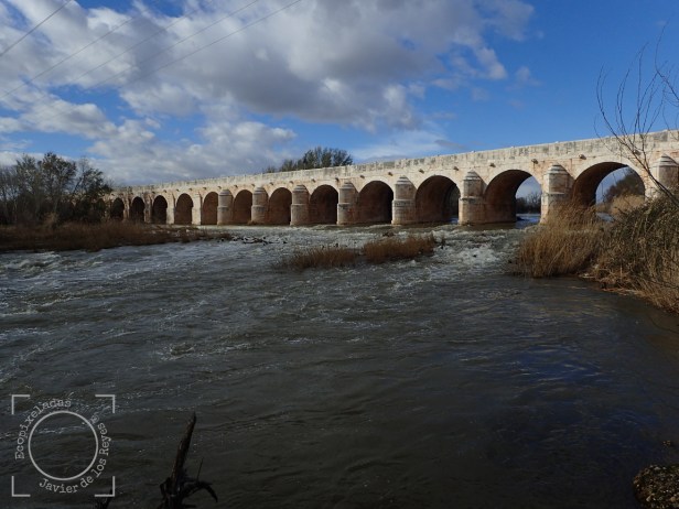 Río Jarama a su paso por Puente Largo