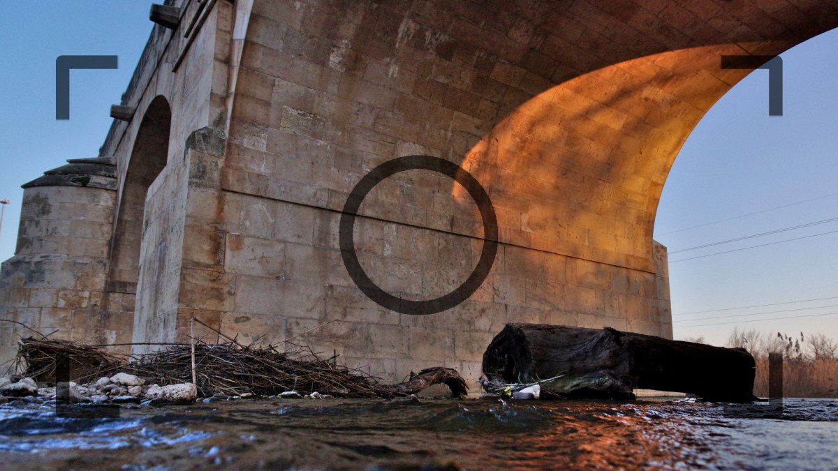 Un paseo por el Jarama, día de acción por los&nbsp;ríos