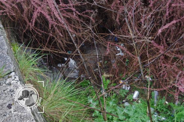 Envases y latas de bebidas en Puente Largo, río Jarama Aranjuez